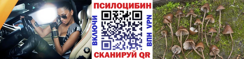 Псилоцибиновые грибы MAGIC MUSHROOMS цена наркотик Мамадыш